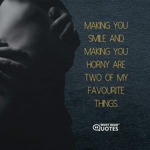 Making you smile and making you horny are two of my favourite things.