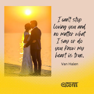 I can't stop loving you and no matter what I say or do you know my heart is true.