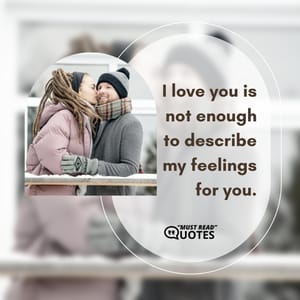 I love you is not enough to describe my feelings for you.