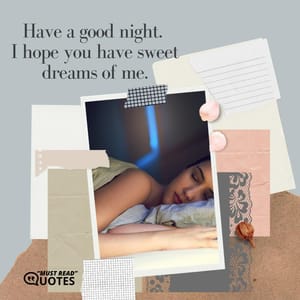 Have a good night. I hope you have sweet dreams of me.