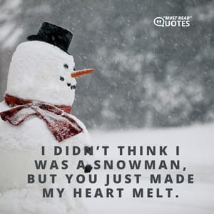 I didn’t think I was a snowman, but you just made my heart melt.