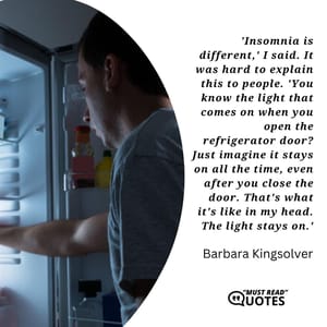 'Insomnia is different,' I said. It was hard to explain this to people. 'You know the light that comes on when you open the refrigerator door? Just imagine it stays on all the time, even after you close the door. That's what it's like in my head. The light stays on.'