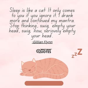 Sleep is like a cat: It only comes to you if you ignore it. I drank more and continued my mantra. 'Stop thinking', swig, 'empty your head', swig, 'now, seriously empty your head'.