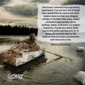 Like travel, insomnia is an uprooting experience. You are torn out of sleep like a plant from its native soil, then shaken down so that any clinging vestige of slumber falls away, naked confusion exposed like nerve endings. Sleep, in its turn, is a matter of gravity. It pulls you down, beds you in the earth, burrows you in. In sleep you connect back to the bedrock that provides nourishment and restorative rest.