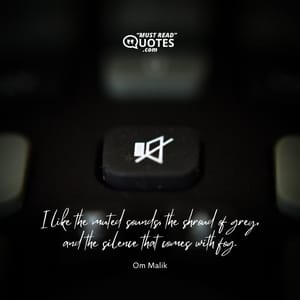 I like the muted sounds, the shroud of grey, and the silence that comes with fog.