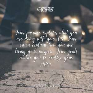 Your purpose explains what you are doing with your life. Your vision explains how you are living your purpose. Your goals enable you to realize your vision.