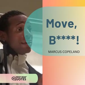 Move, B****!
