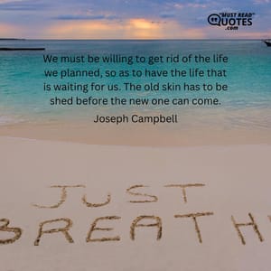 We must be willing to get rid of the life we planned, so as to have the life that is waiting for us. The old skin has to be shed before the new one can come.