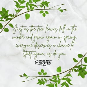 Just as the tree leaves fall in the winter and grow again in spring, everyone deserves a chance to start again, as do you.