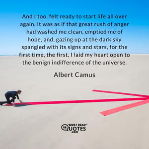 And I too, felt ready to start life all over again. It was as if that great rush of anger had washed me clean, emptied me of hope, and, gazing up at the dark sky spangled with its signs and stars, for the first time, the first, I laid my heart open to the benign indifference of the universe.