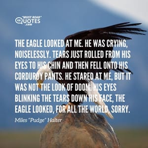 The Eagle looked at me. He was crying, noiselessly. Tears just rolled from his eyes to his chin and then fell onto his corduroy pants. He stared at me, but it was not the Look of Doom. His eyes blinking the tears down his face, the Eagle looked, for all the world, sorry.