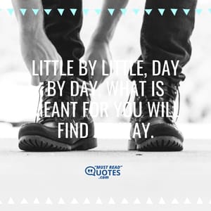 Little by little, day by day, what is meant for you will find its way.