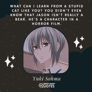 What can I learn from a stupid cat like you? You didn’t even know that Jason isn’t really a bear. He’s a character in a horror film.