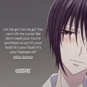 Let me go! Let me go! You can't lift the curse! We don't need you! You're worthless to us! It's your fault! It's your fault! It's your faaaaaa-ult!Akito Sohm
