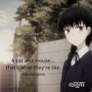 A cat and mouse... that's what they're like.
