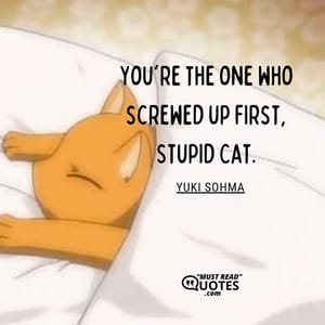 You're the one who screwed up first, Stupid Cat.