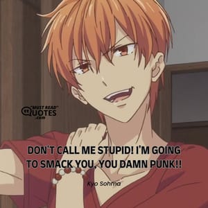 DON'T CALL ME STUPID! I'M GOING TO SMACK YOU, YOU DAMN PUNK!!