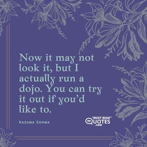 Now it may not look it, but I actually run a dojo. You can try it out if you’d like to.