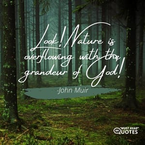 Look! Nature is overflowing with the grandeur of God!