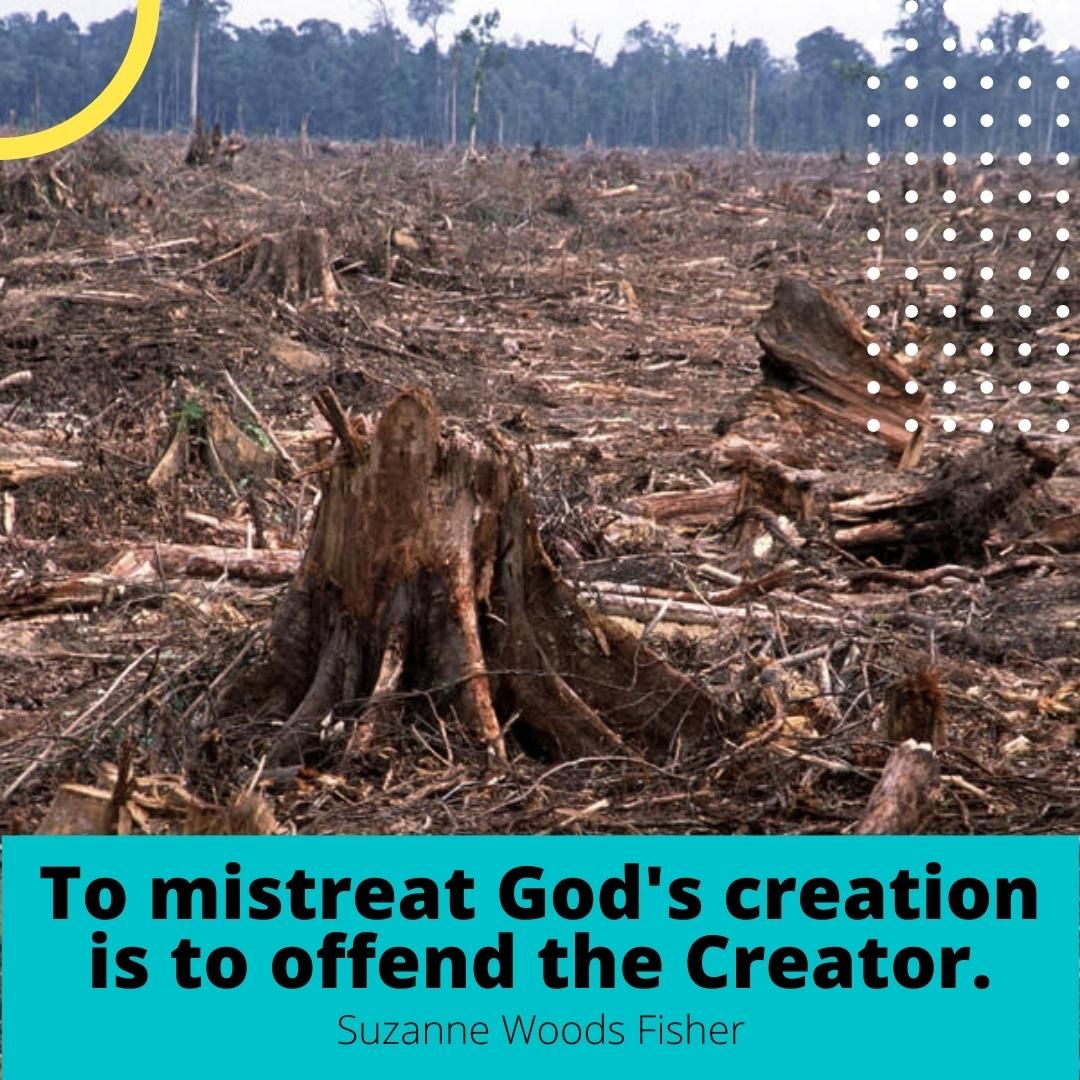 To mistreat God's creation is to offend the Creator.