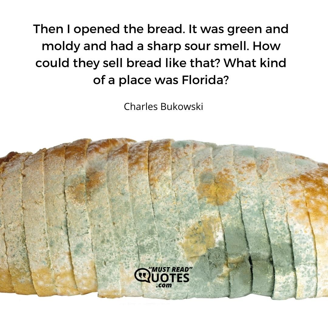 Then I opened the bread. It was green and moldy and had a sharp sour smell. How could they sell bread like that? What kind of a place was Florida?