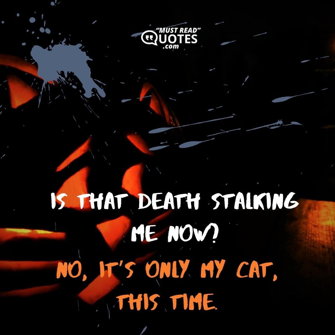 is that death stalking me now? no, it’s only my cat, this time.