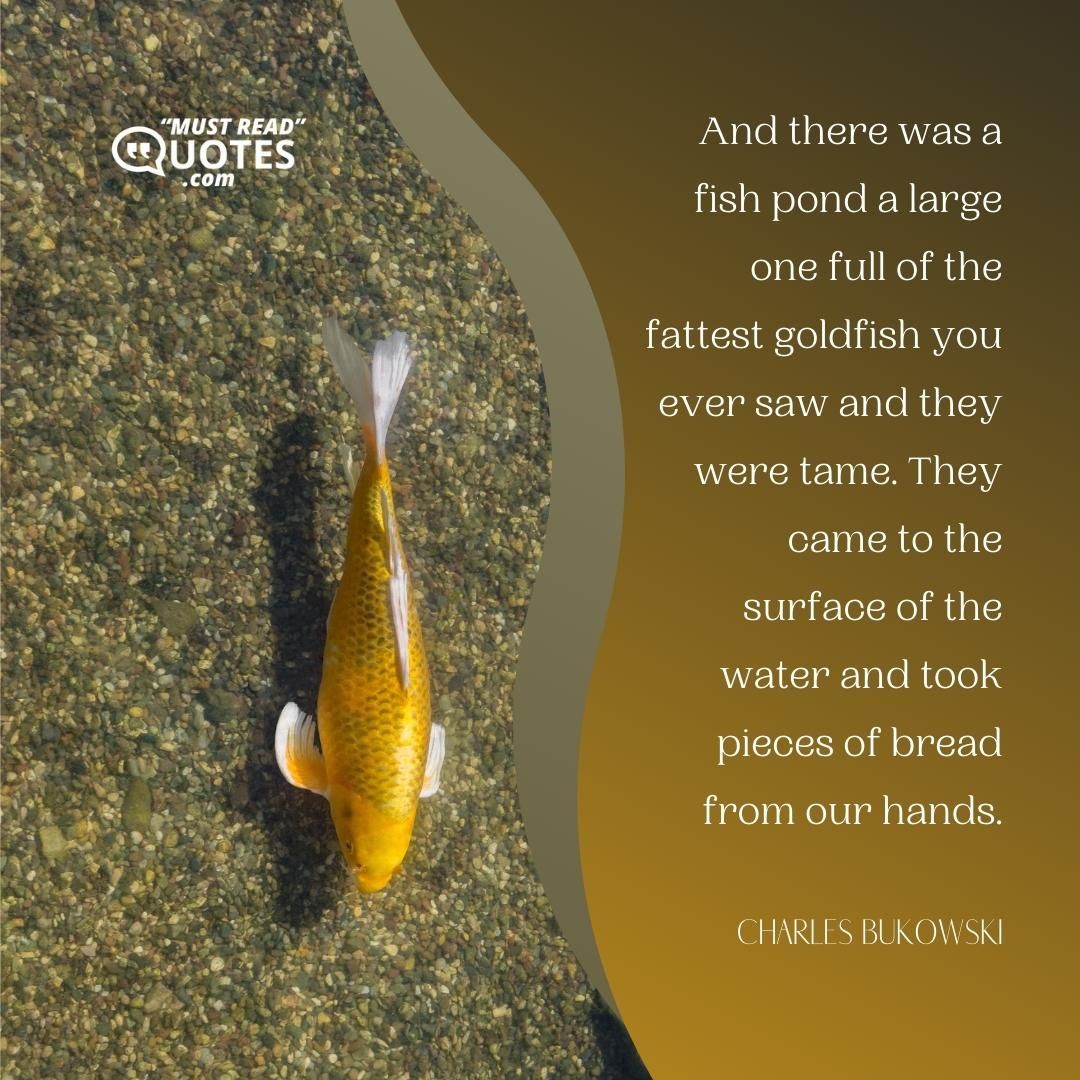 And there was a fish pond a large one full of the fattest goldfish you ever saw and they were tame. They came to the surface of the water and took pieces of bread from our hands.