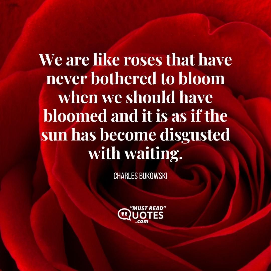 We are like roses that have never bothered to bloom when we should have bloomed and it is as if the sun has become disgusted with waiting.