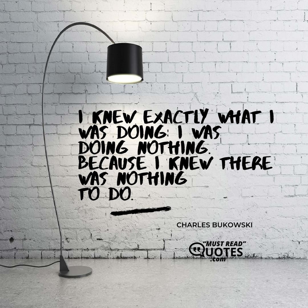 I knew exactly what I was doing: I was doing nothing. because I knew there was nothing to do.