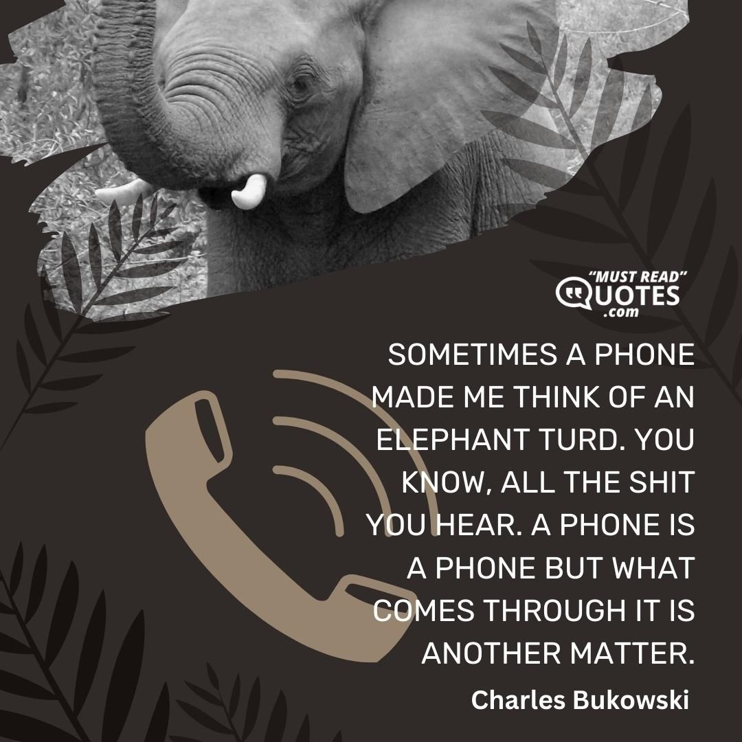 Sometimes a phone made me think of an elephant turd. You know, all the shit you hear. A phone is a phone but what comes through it is another matter.