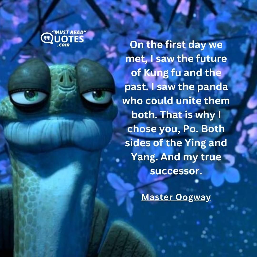 On the first day we met, I saw the future of Kung fu and the past. I saw the panda who could unite them both. That is why I chose you, Po. Both sides of the Ying and Yang. And my true successor.