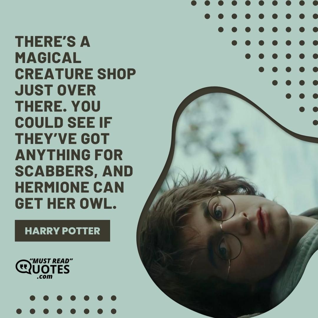 There’s a magical creature shop just over there. You could see if they’ve got anything for Scabbers, and Hermione can get her owl.