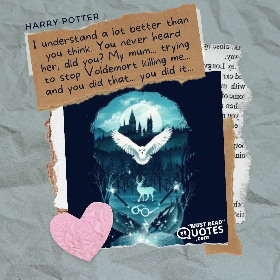 I understand a lot better than you think. You never heard her, did you? My mum... trying to stop Voldemort killing me... and you did that... you did it...