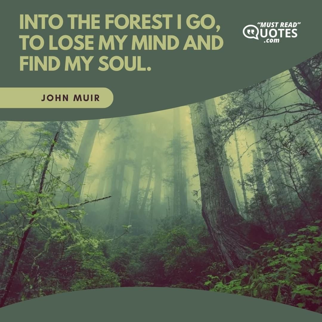 Into the forest I go, to lose my mind and find my soul.