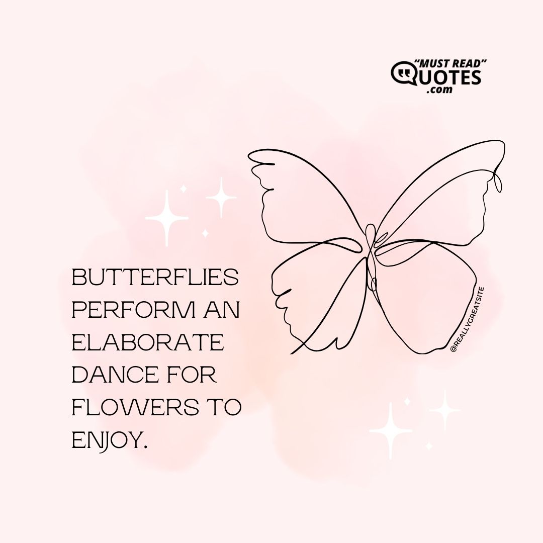 Butterflies perform an elaborate dance for flowers to enjoy.