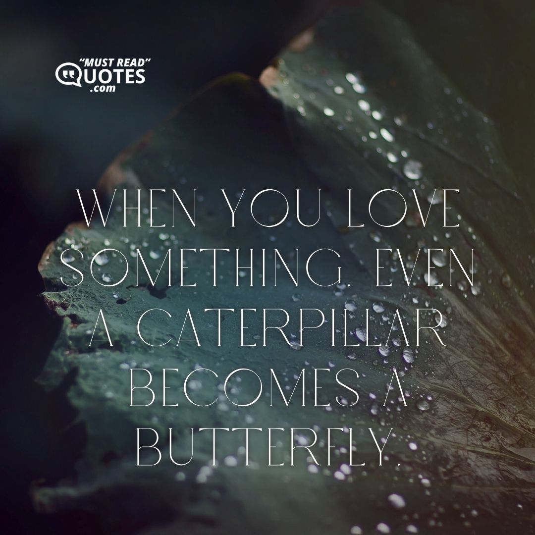 When you love something, even a caterpillar becomes a butterfly.