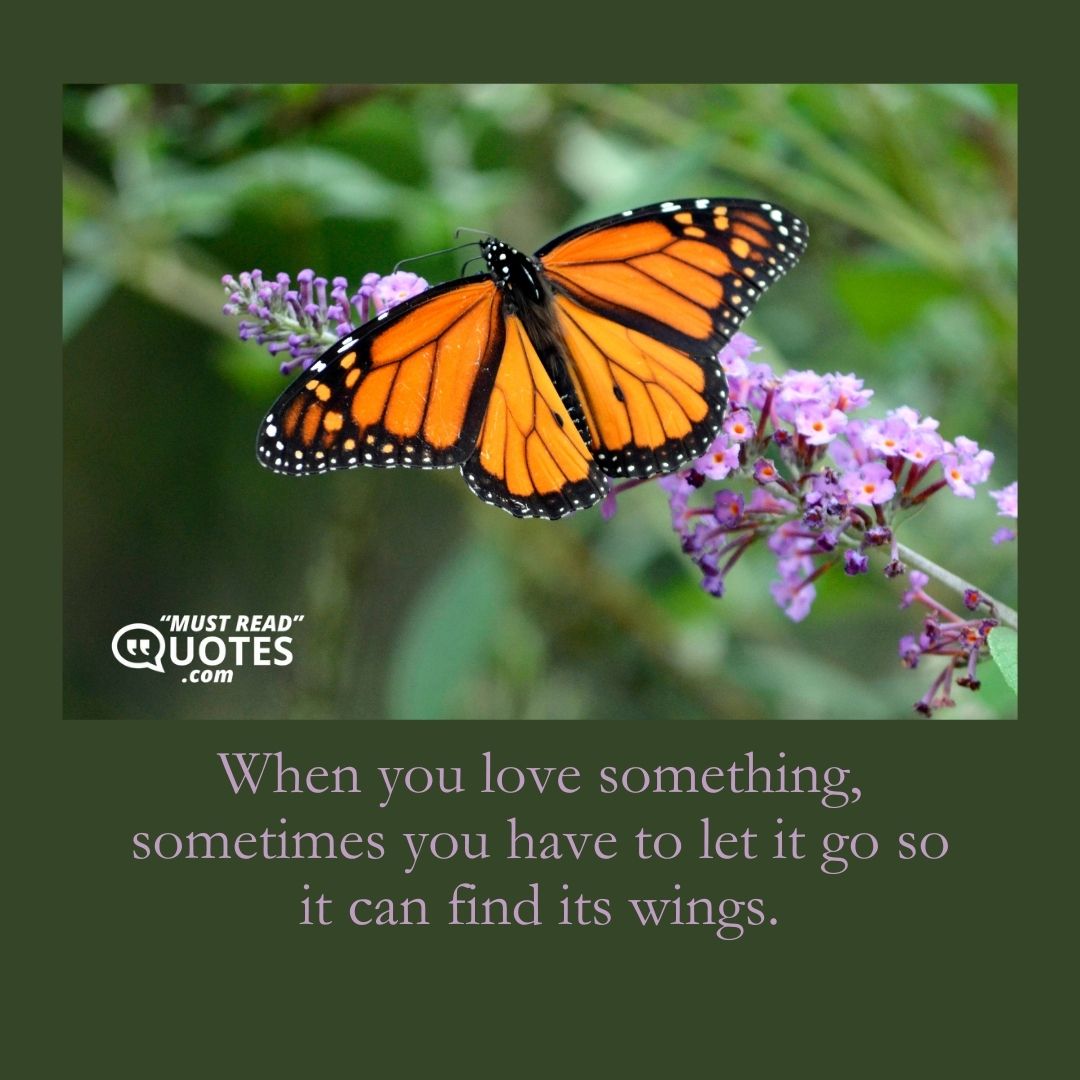 When you love something, sometimes you have to let it go so it can find its wings.