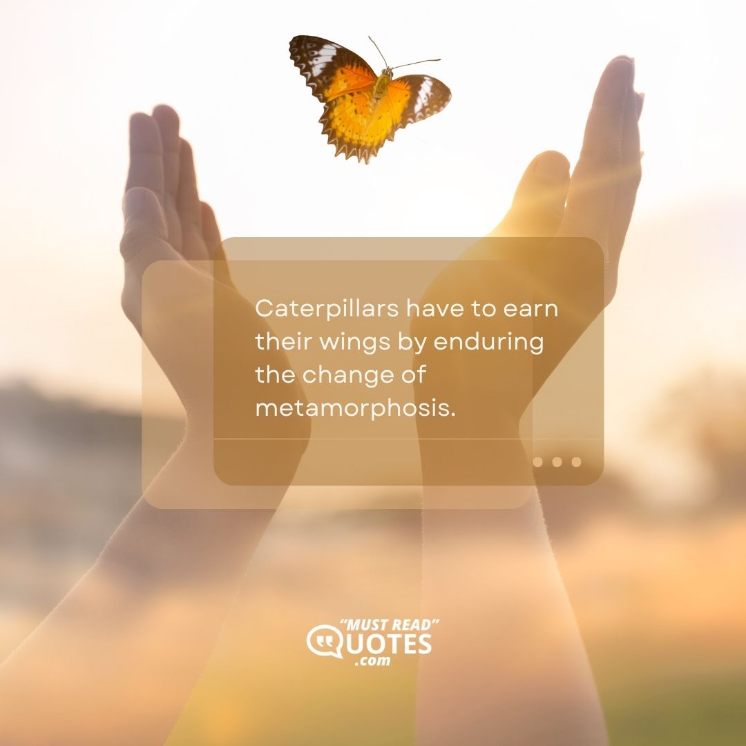 Caterpillars have to earn their wings by enduring the change of metamorphosis.