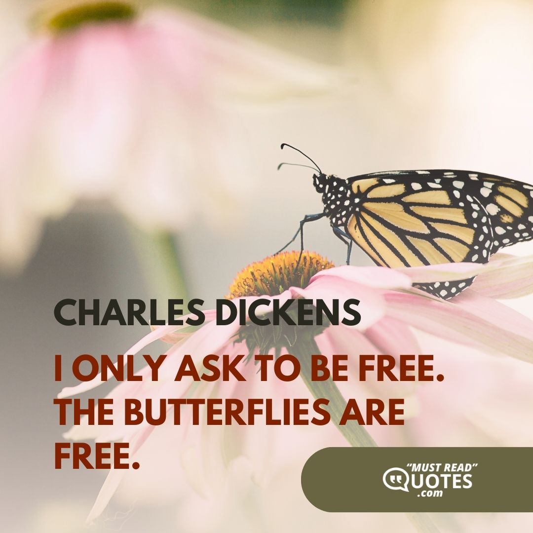 I only ask to be free. The butterflies are free.