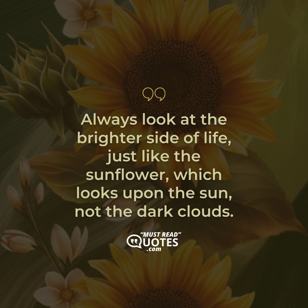 Always look at the brighter side of life, just like the sunflower, which looks upon the sun, not the dark clouds.