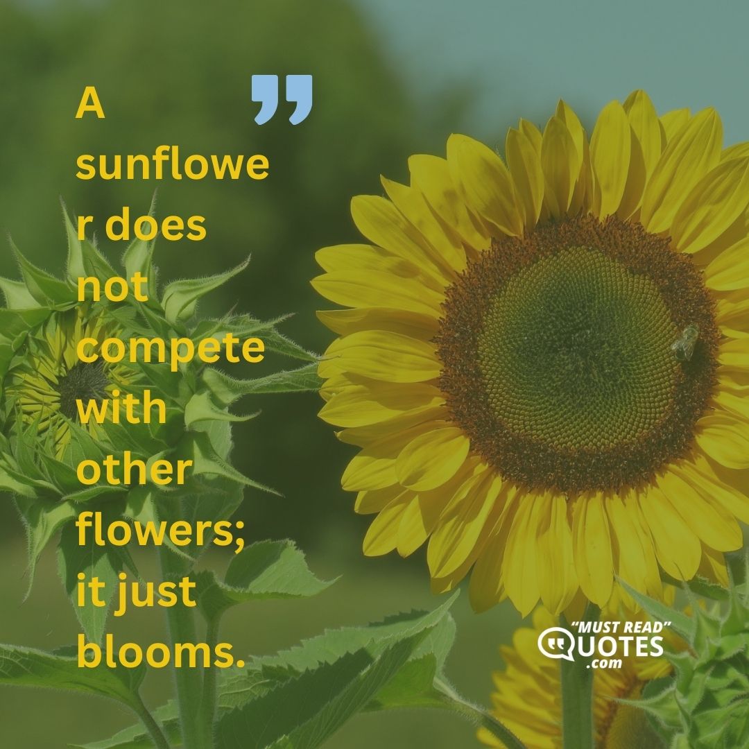 Quote by Unknown "A sunflower does not compete"