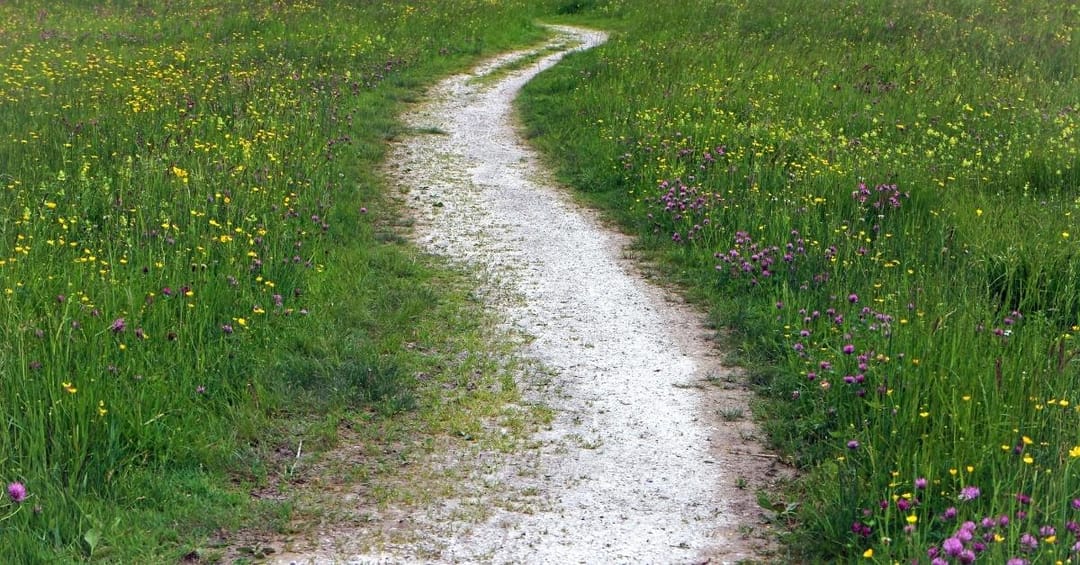 Path