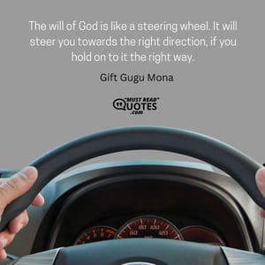 The will of God is like a steering wheel. It will steer you towards the right direction, if you hold on to it the right way.