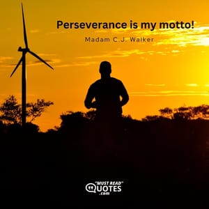 Perseverance is my motto!