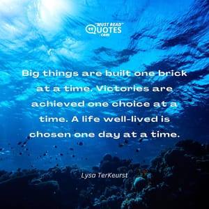 Big things are built one brick at a time. Victories are achieved one choice at a time. A life well-lived is chosen one day at a time.