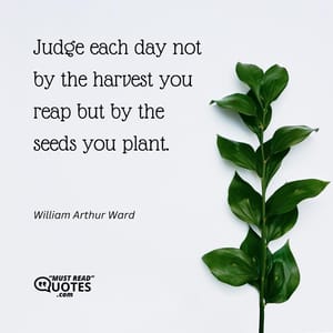 Judge each day not by the harvest you reap but by the seeds you plant.
