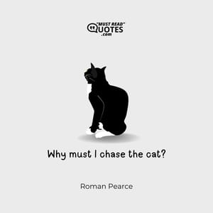 Why must I chase the cat?