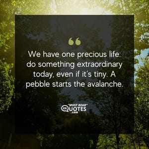 We have one precious life: do something extraordinary today, even if it’s tiny. A pebble starts the avalanche.