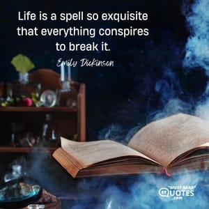Life is a spell so exquisite that everything conspires to break it.
