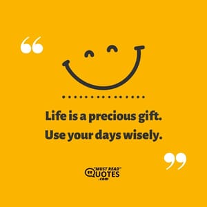 Life is a precious gift. Use your days wisely.